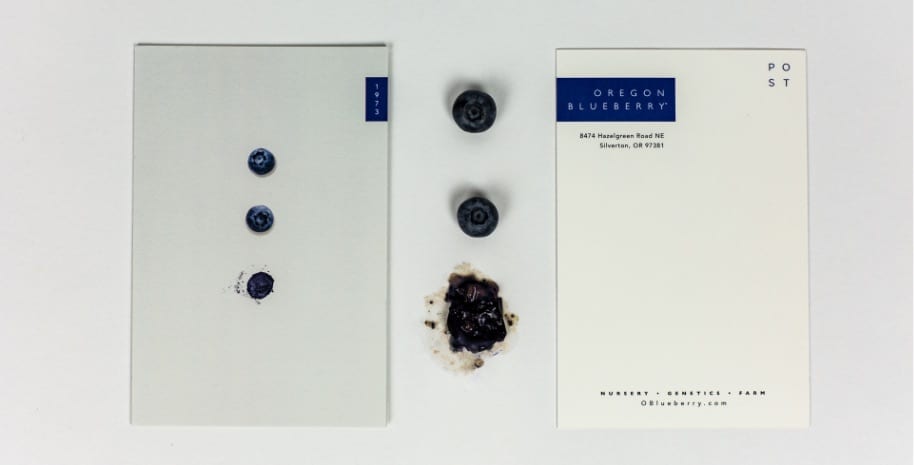 obf-gallery-8